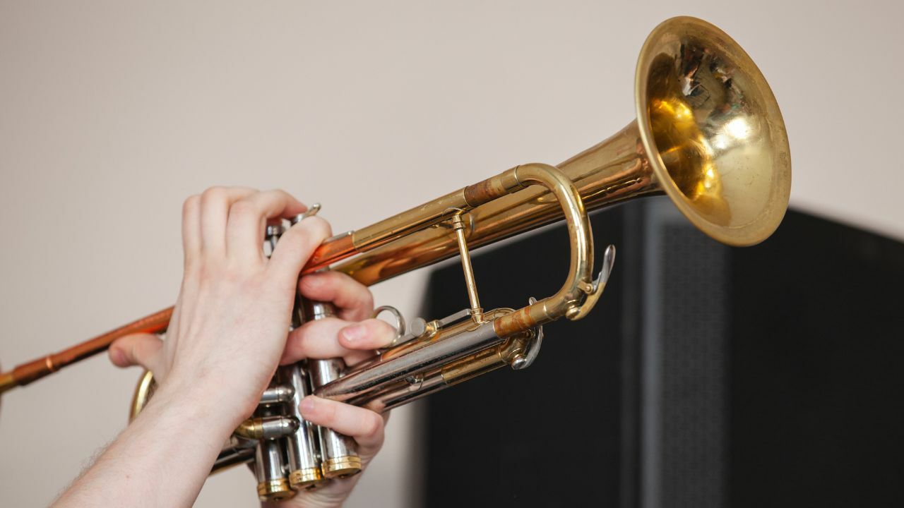 Musiker mit Blasenproblemen, Ursache mit Hilfe der Pohltpherapie gefunden