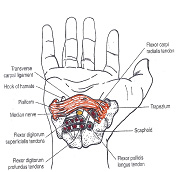 Linke hand ringfinger und kleiner finger taub